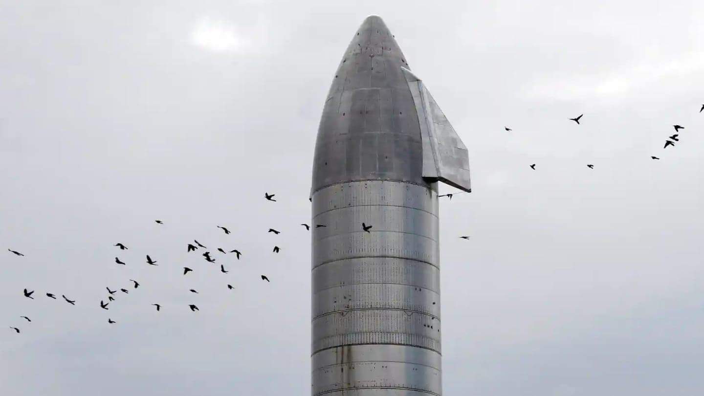 Ptáci poletující kolem rakety SpaceX