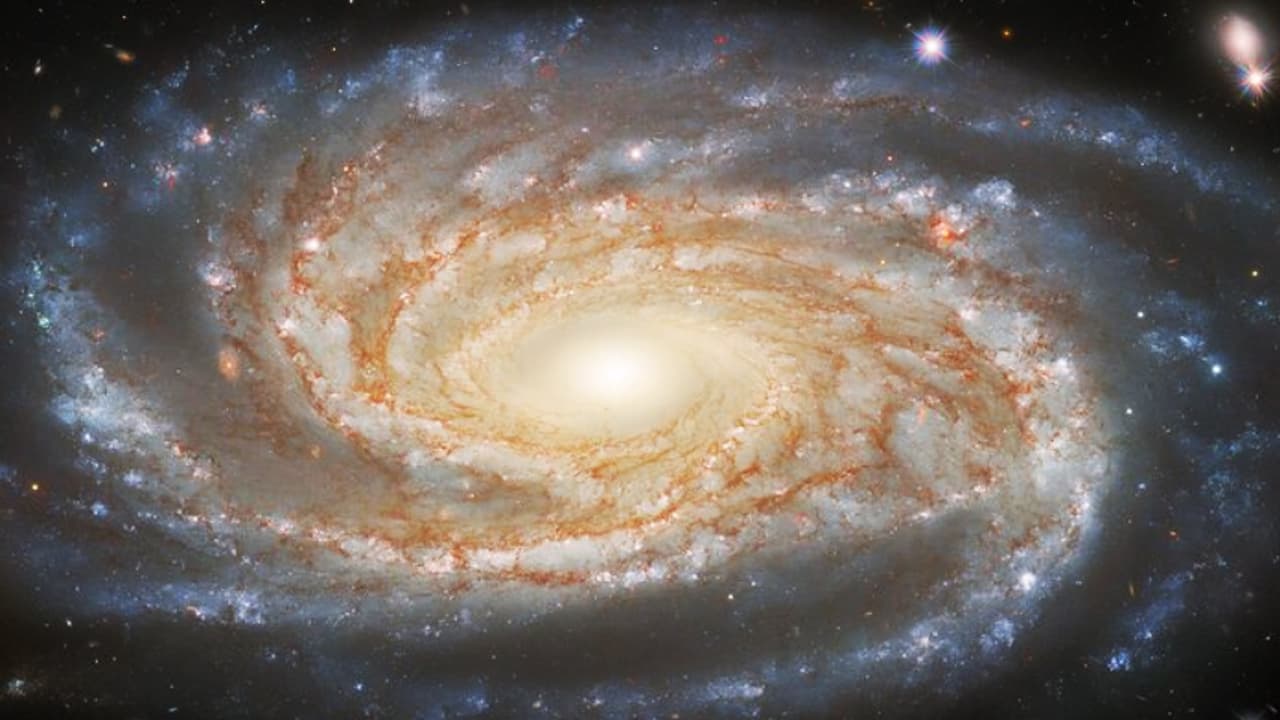 NGC 7038