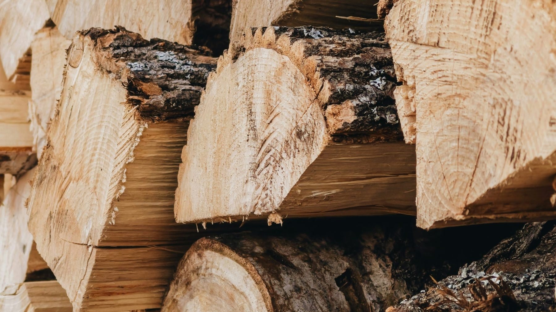Dřevo | foto: Unsplash