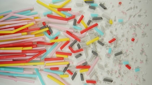 Vědci zkoumali vliv mikroplastů na kosti. Způsobují vážné zdravotní obtíže?