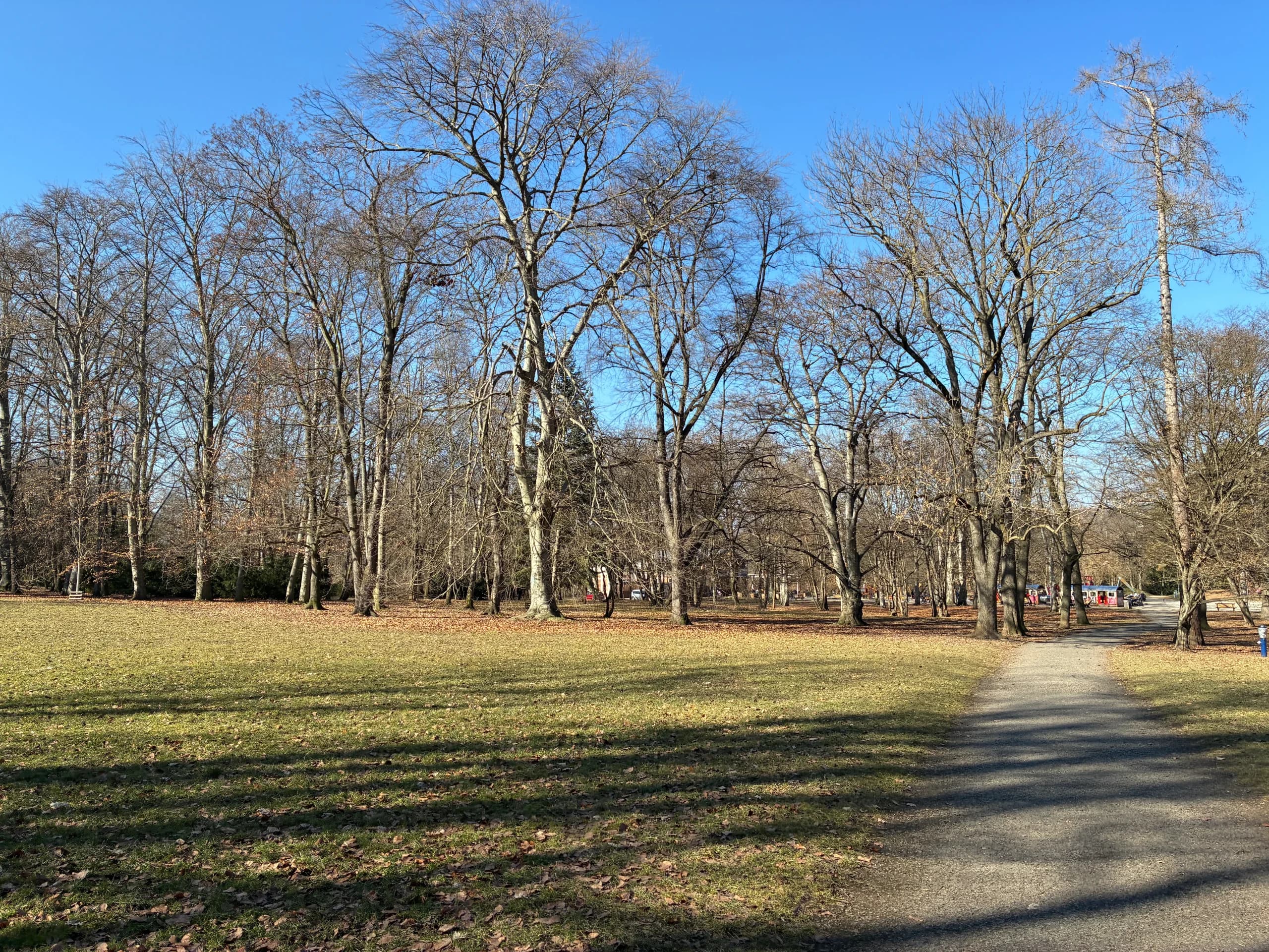 iphone 16e recenze zkusebni fotografie 3 scaled