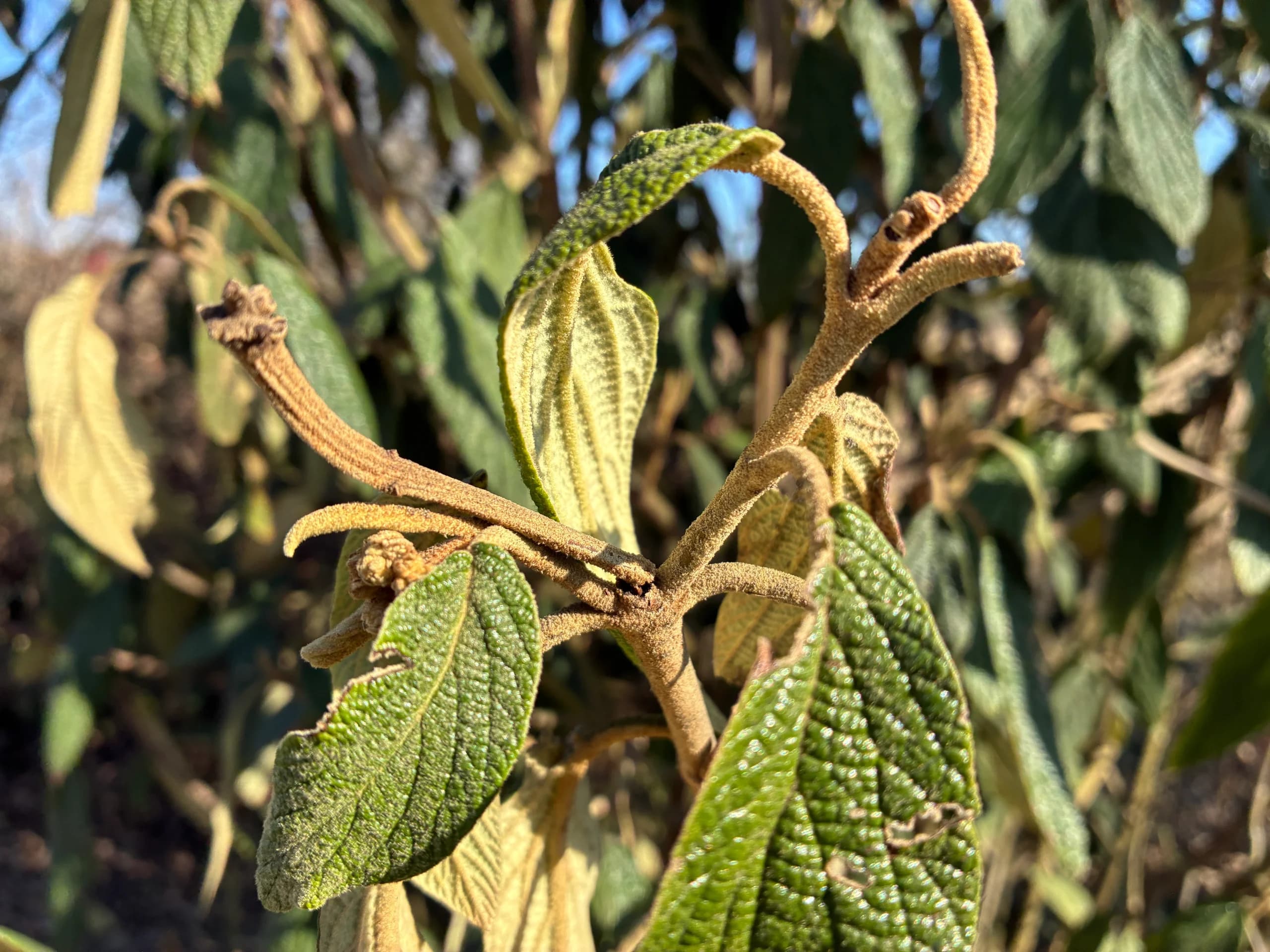 iphone 16e recenze zkusebni fotografie 4 scaled